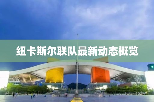 紐卡斯爾聯(lián)隊最新動(dòng)態(tài)概覽