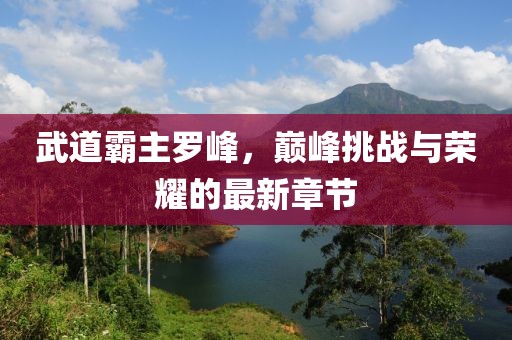 武道霸主羅峰，巔峰挑戰與榮耀的最新章節