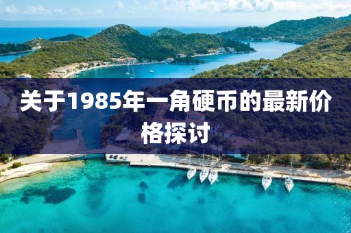 關(guān)于1985年一角硬幣的最新價(jià)格探討