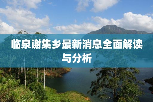 臨泉謝集鄉最新消息全面解讀與分析