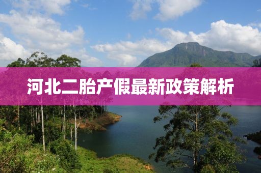 溫柔不夠 第18頁(yè)