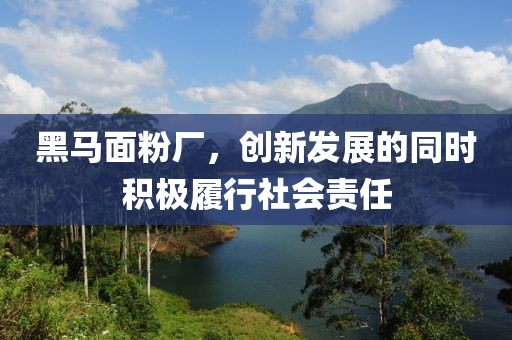黑馬面粉廠(chǎng)，創(chuàng  )新發(fā)展的同時(shí)積極履行社會(huì )責任