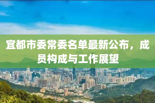 宜都市委常委名單最新公布，成員構成與工作展望