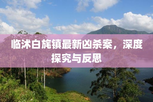 臨沭白旄鎮最新兇殺案，深度探究與反思