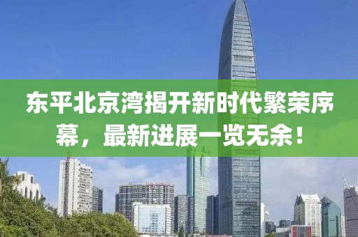 東平北京灣揭開(kāi)新時(shí)代繁榮序幕，最新進(jìn)展一覽無(wú)余！
