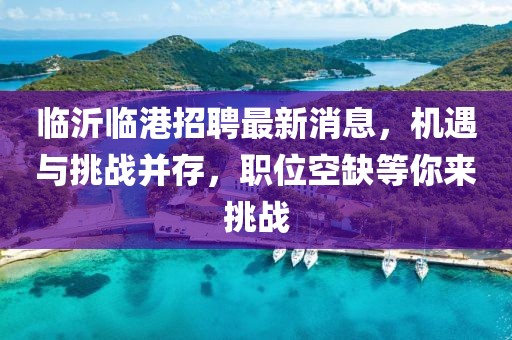 臨沂臨港招聘最新消息，機遇與挑戰并存，職位空缺等你來(lái)挑戰