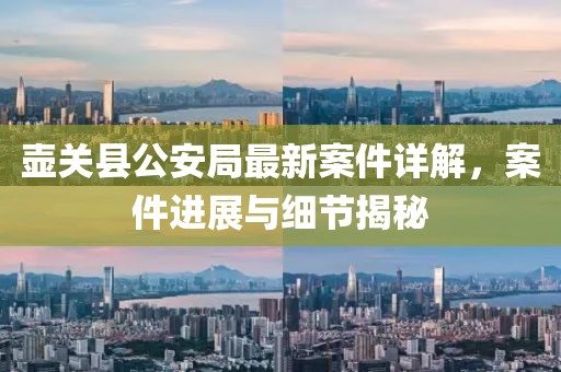 壺關(guān)縣公安局最新案件詳解，案件進(jìn)展與細節揭秘