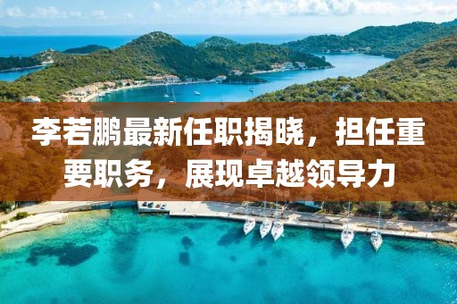 李若鵬最新任職揭曉，擔任重要職務(wù)，展現卓越領(lǐng)導力