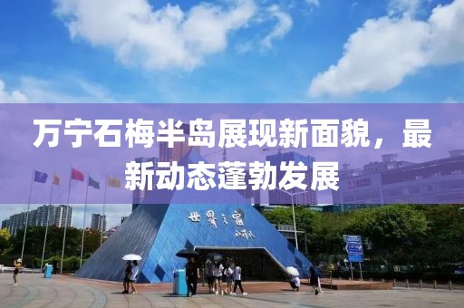 萬(wàn)寧石梅半島展現新面貌，最新動(dòng)態(tài)蓬勃發(fā)展