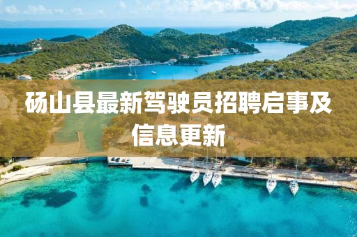 碭山縣最新駕駛員招聘啟事及信息更新