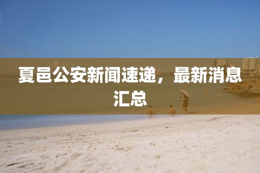 夏邑公安新聞速遞，最新消息匯總