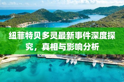 紐菲特貝多靈最新事件深度探究，真相與影響分析
