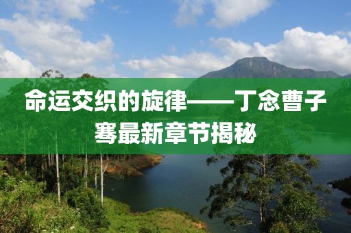 命運交織的旋律——丁念曹子騫最新章節揭秘