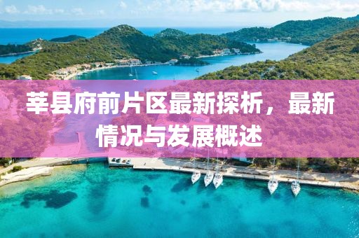 莘縣府前片區最新探析，最新情況與發(fā)展概述