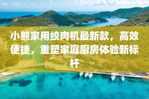 小熊家用絞肉機最新款，高效便捷，重塑家庭廚房體驗新標桿