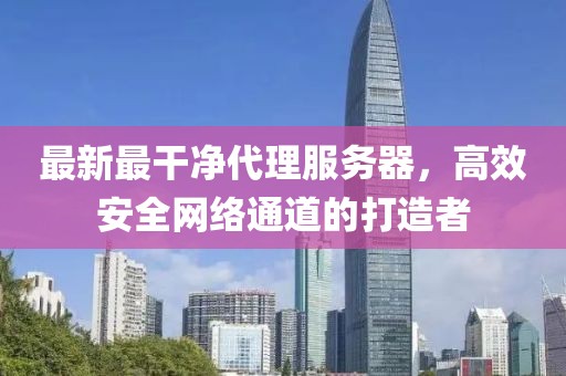 最新最干凈代理服務(wù)器，高效安全網(wǎng)絡(luò )通道的打造者