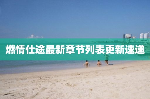 燃情仕途最新章節列表更新速遞