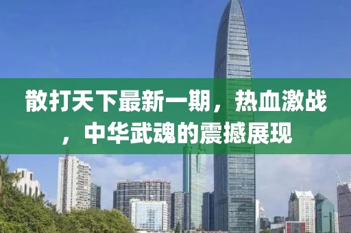 散打天下最新一期，熱血激戰，中華武魂的震撼展現
