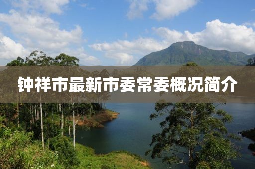 鐘祥市最新市委常委概況簡(jiǎn)介