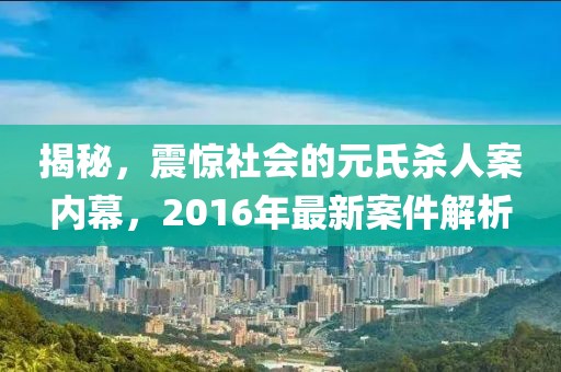 揭秘，震驚社會(huì )的元氏殺人案內幕，2016年最新案件解析