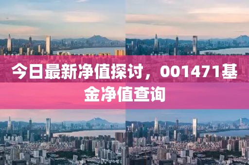 今日最新凈值探討，001471基金凈值查詢(xún)
