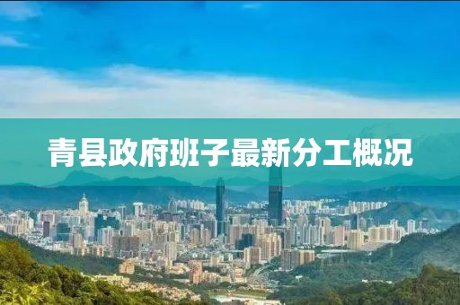 青縣政府班子最新分工概況