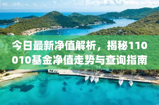 今日最新凈值解析，揭秘110010基金凈值走勢與查詢(xún)指南