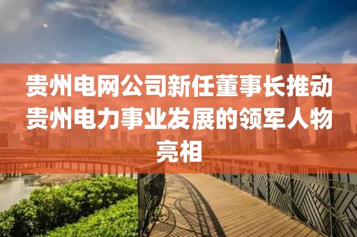 貴州電網(wǎng)公司新任董事長(cháng)推動(dòng)貴州電力事業(yè)發(fā)展的領(lǐng)軍人物亮相