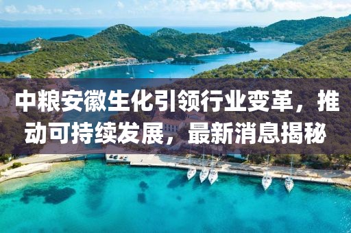 中糧安徽生化引領(lǐng)行業(yè)變革，推動(dòng)可持續發(fā)展，最新消息揭秘