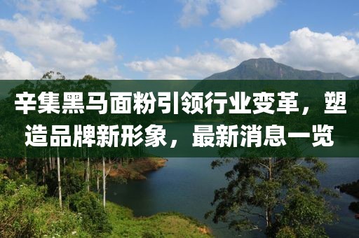 辛集黑馬面粉引領(lǐng)行業(yè)變革，塑造品牌新形象，最新消息一覽