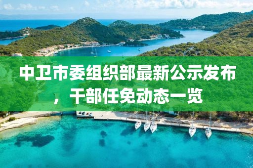 中衛市委組織部最新公示發(fā)布，干部任免動(dòng)態(tài)一覽
