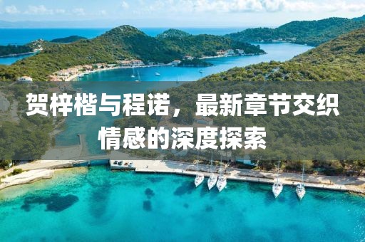 賀梓楷與程諾，最新章節交織情感的深度探索