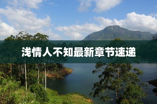 淺情人不知最新章節速遞