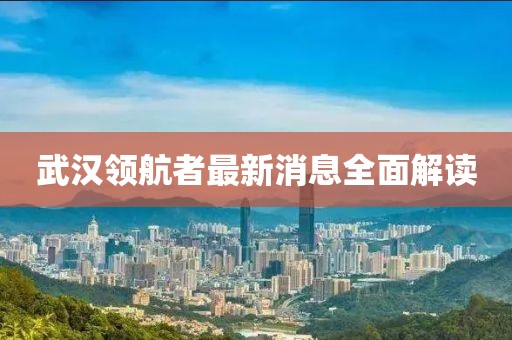 武漢領(lǐng)航者最新消息全面解讀