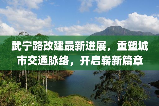 武寧路改建最新進(jìn)展，重塑城市交通脈絡(luò )，開(kāi)啟嶄新篇章