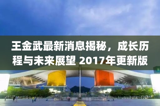 王金武最新消息揭秘，成長(cháng)歷程與未來(lái)展望 2017年更新版