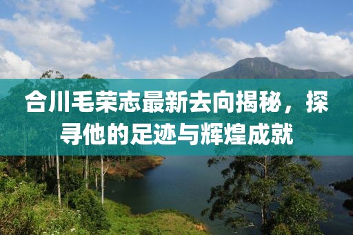 合川毛榮志最新去向揭秘，探尋他的足跡與輝煌成就
