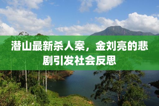潛山最新殺人案，金劉亮的悲劇引發(fā)社會(huì )反思