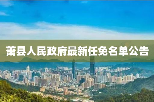 蕭縣人民政府最新任免名單公告