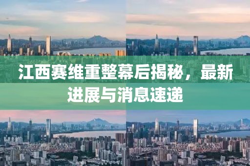 江西賽維重整幕后揭秘，最新進(jìn)展與消息速遞