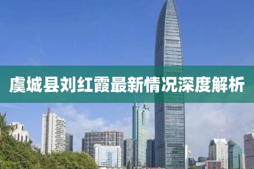 虞城縣劉紅霞最新情況深度解析