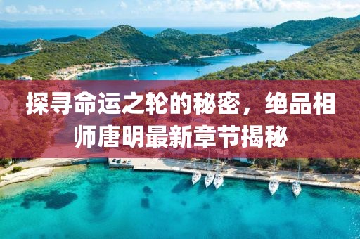 探尋命運之輪的秘密，絕品相師唐明最新章節揭秘