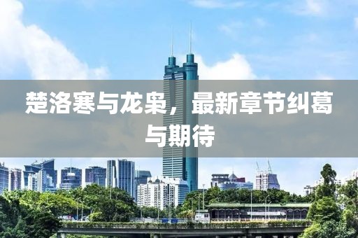 楚洛寒與龍梟，最新章節糾葛與期待