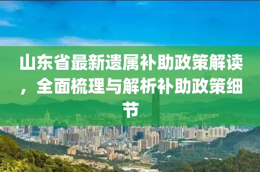 山東省最新遺屬補助政策解讀，全面梳理與解析補助政策細節