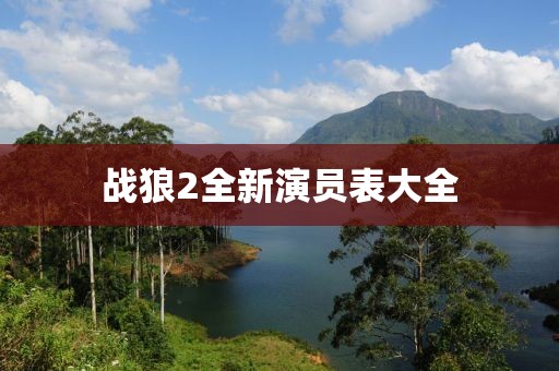 戰狼2全新演員表大全
