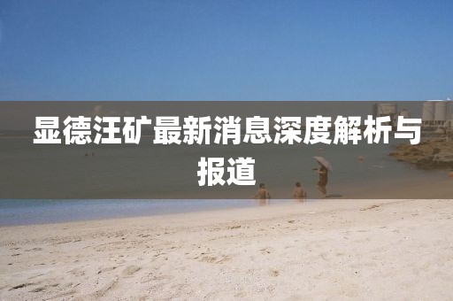 顯德汪礦最新消息深度解析與報道