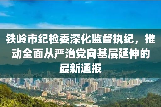 鐵嶺市紀檢委深化監督執紀，推動(dòng)全面從嚴治黨向基層延伸的最新通報