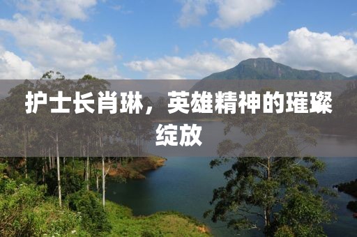 護士長(cháng)肖琳，英雄精神的璀璨綻放