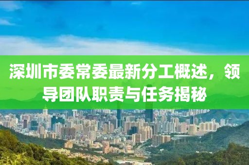 深圳市委常委最新分工概述，領(lǐng)導團隊職責與任務(wù)揭秘