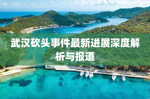 武漢砍頭事件最新進(jìn)展深度解析與報道